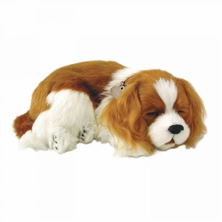 sovande hund av rasen Cavalier King Charles Spaniel gosedjur