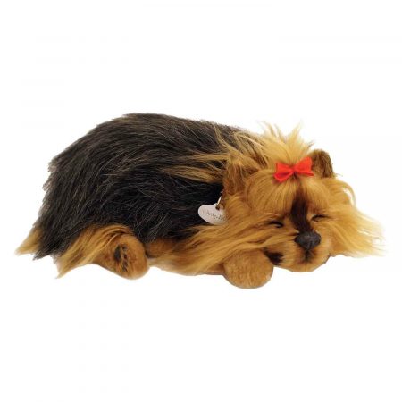 sovande gosedjurshund av rasen Yorkshire Terrier